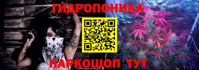 jwh Кандалакша