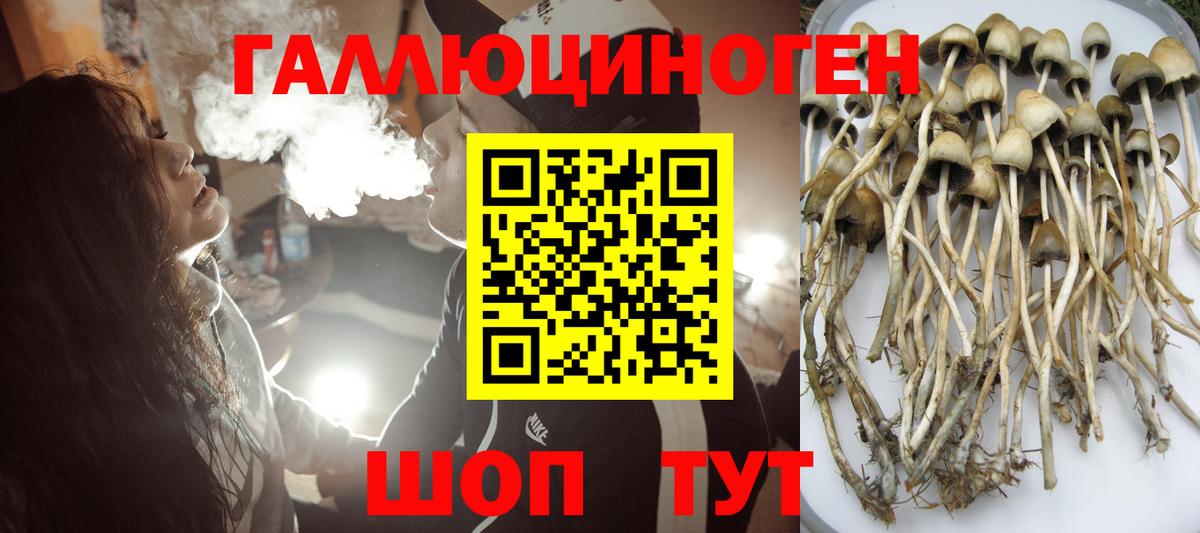 Галлюциногенные грибы GOLDEN TEACHER  Вход с VPN  Ликино-Дулёво 