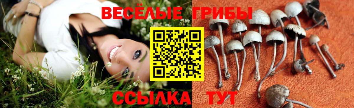 Меф кристаллы  Ликино-Дулёво  ГАШИШ  Наркошоп  NBOMe  Вход с VPN  Каннабис 